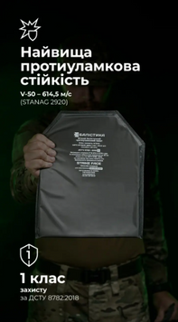 Баллистический пакет под бронеплиту (1 класс | M | 25&times;30 см | 470 г | НВМПЭ ✡ Израиль) ТМ Баллистика Bal-00027 фото