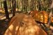 Намет надлегкий двомісний з футпринтом Naturehike Star-River 2 Updated NH17T012-T; 210T; помаранчевий 57473 фото 5