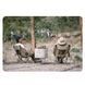 Стілець складаний Naturehike Stellaluna T02J CNK2350JJ010, бежевий 68957 фото 10