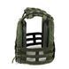 Плитоноска СІЧ с быстрым сбросом олива (PLATE CARRIER) МОЛЛИ PL-011 фото 3