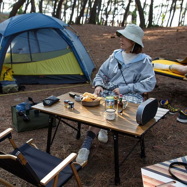 Стіл розкладний з висувними ніжками Naturehike NH19Z003-D, малий 61698 фото