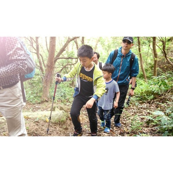 Трекінгова палиця 3-сек. Naturehike Women 6061 AL NH17D001-Z, 57-120 см, алюміній, зелена 71425 фото