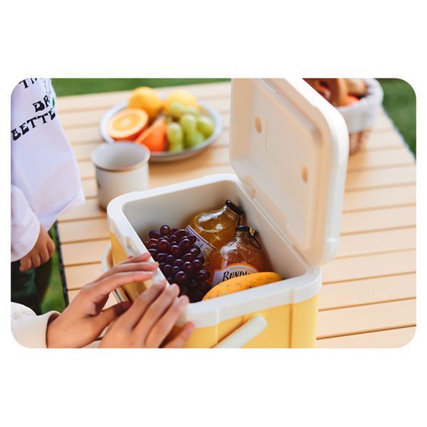 Туристичний холодильник Naturehike CNK2450CF012; 5 л; бежевий 69025 фото