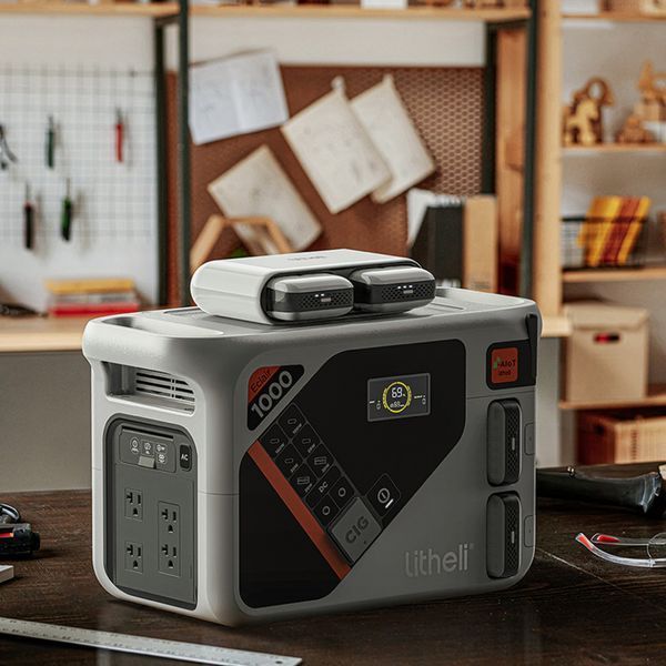 Зарядний пристрій для двох Power Bank Litheli U20 69210 фото
