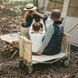 Складаний візочок ТС07 Naturehike CNH22JU014, бежевий 63650 фото 13