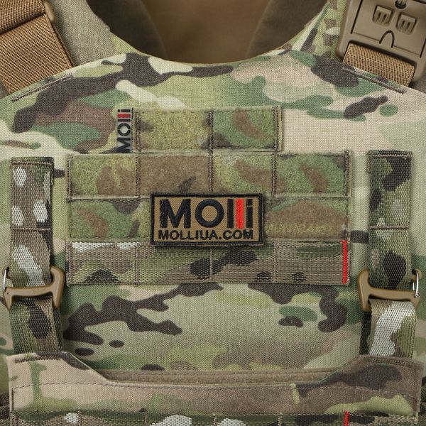 Противомломочный жилет для волонтеров для прессы, EGIDA СPS (corset protection system), 1 или 2 класса ДСТУ и STANAG, черный MOLLI 107777M1 фото