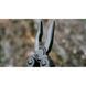 Мультитул Multi Tool Ganzo G103 44141 фото 43