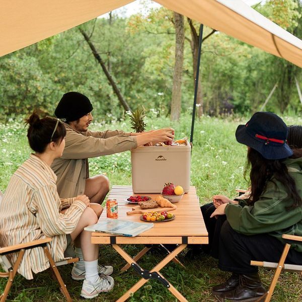 Туристичний холодильник Naturehike CNK2300BS011; 24 л; бежевий 65793 фото