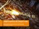 Ліхтар ручний Fenix PD35 V20 Camo Edition Cree XP-L HI LED 44373 фото 18