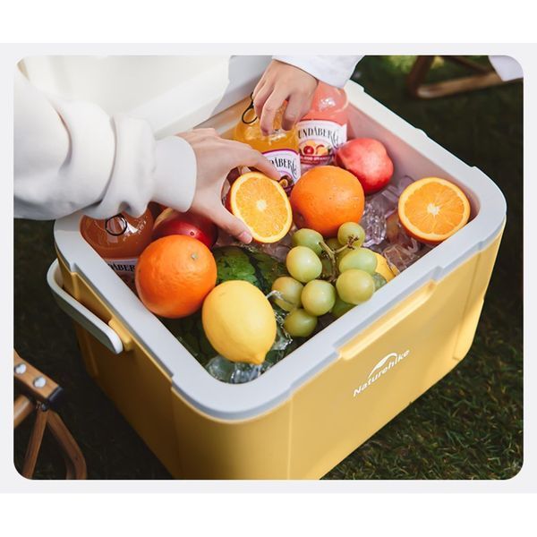 Туристичний холодильник Naturehike CNK2450CF012, 18 л, зелений 68965 фото